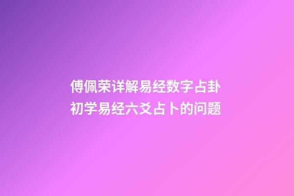 傅佩荣详解易经数字占卦 初学易经六爻占卜的问题-第1张-观点-玄机派